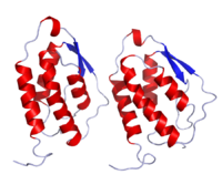 GMCSF Crystal Structure.rsh.png