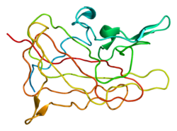 Protein F8 PDB 1d7p.png
