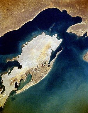 Vozrozhdeniya Island.jpg