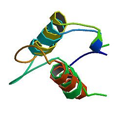 PBB Protein TMPO image.jpg