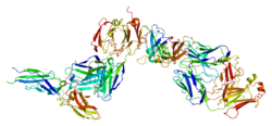 Protein F3 PDB 1ahw.png