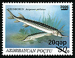 Stamp of Azerbaijan 728.jpg