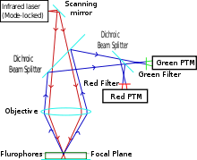 Diagram of a two-photon excitation microscope en.svg