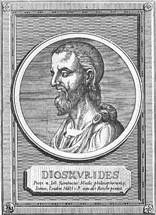 Pedianus Dioskuri.jpg