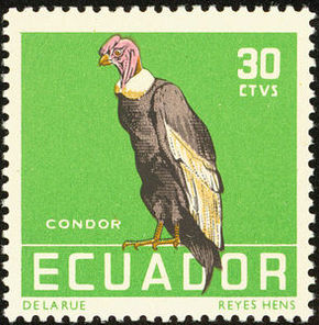 Stamp Ecuador 1958 30c Andean Condor.jpg